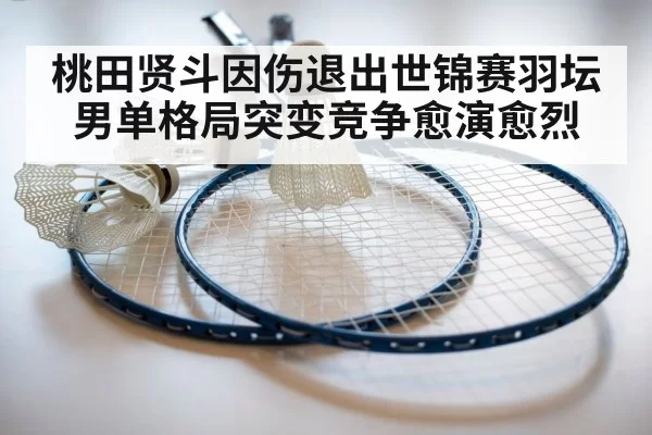 badminton racket
